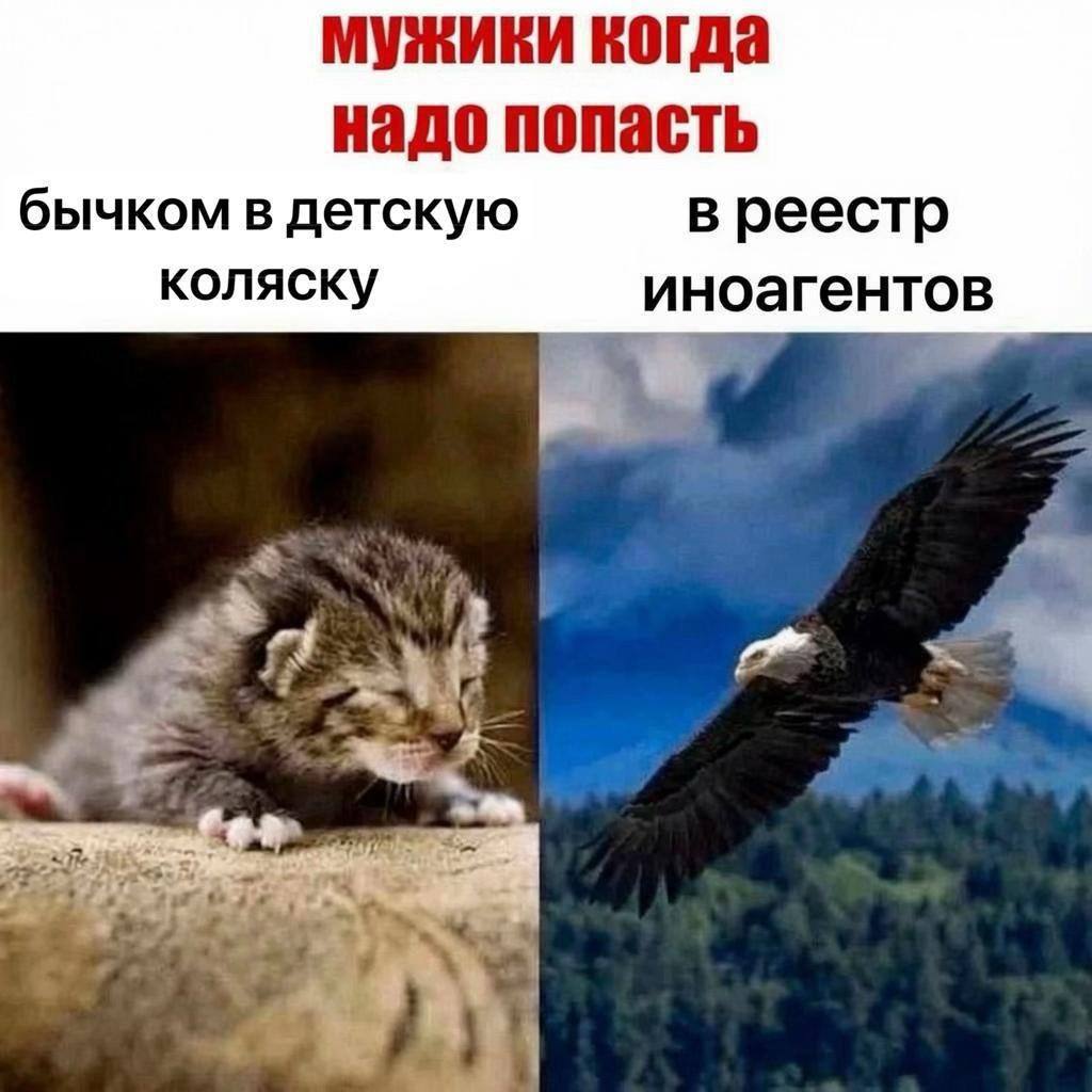 мужики когда надо попасть бычком в детскую в реестр коляску иноагентов 4