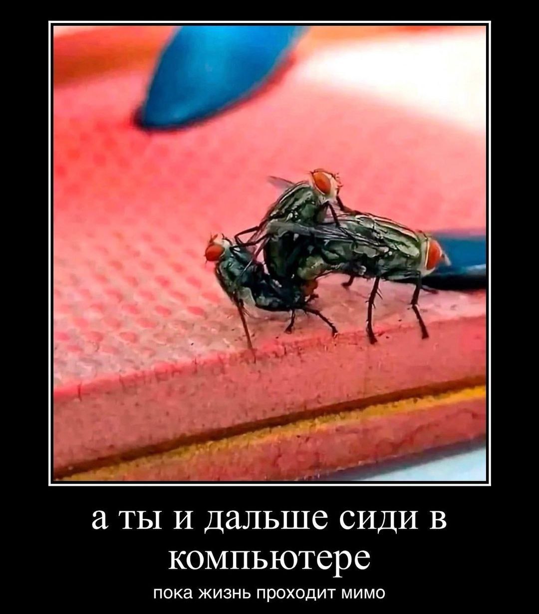 аты и дальше сиди в компьютере пока жизнь проходит мимо