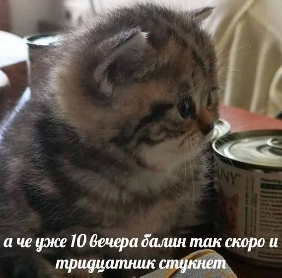 уже 10 вечера балин так скоро и тридиатник стукнет