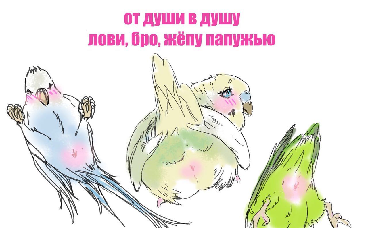 души в душу лови, бро, жёпу папужью