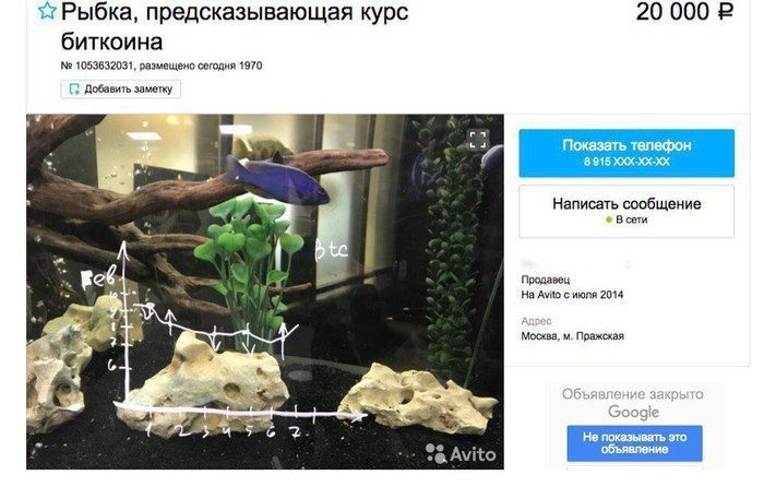 предсказывающая курс 20 000 биткоина 1053632031, размещено сегодня 1970 Добавить заметку и Показать телефон. 8915 «9% Написать сообщение В сети Продавец в; Avito с июля 2014 Мосжва, Пражская Объявлени