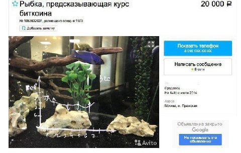 предсказывающая курс 20 000 биткоина 1053632031, размещено сегодня 1970 Добавить заметку и Показать телефон. 8915 «9% Написать сообщение В сети Продавец в; Avito с июля 2014 Мосжва, Пражская Объявлени