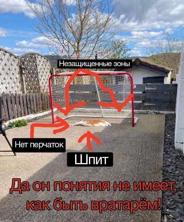 У wee 4 8 Незащищенные зоны 4- Нет перчаток [Шпит
