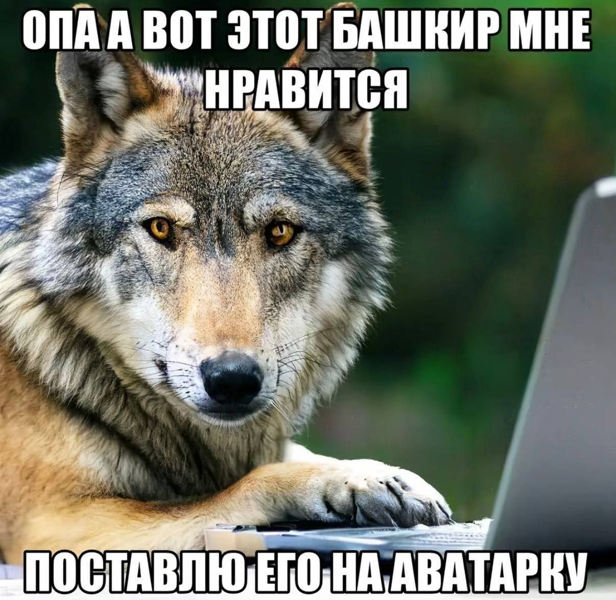 ВОТ ЭТОТ НРАВИТСЯ АВАТАРКУ