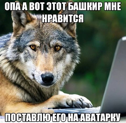 ВОТ ЭТОТ НРАВИТСЯ АВАТАРКУ