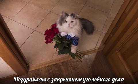 Поздравляю с закреипием уголовного дела