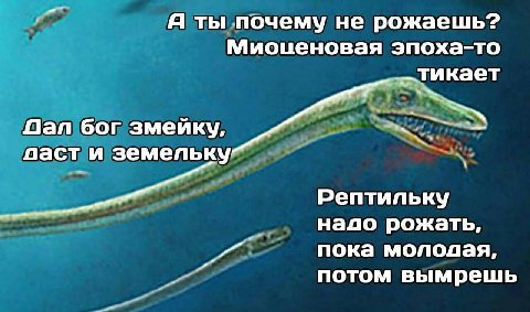 Я ты почему He рожаешь? Миоценовая эпоха-то тикает Пал бог змейку, ласт и земельку Рептильку надо рожать, пока мололая, потом вымрешь