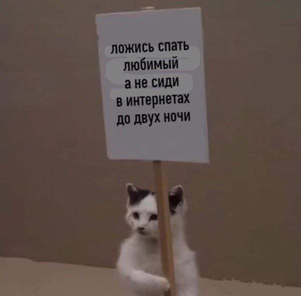 ложись спать любимый ане сиди в интернетах до двух ночи 1