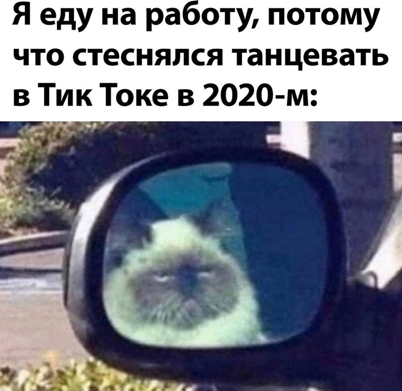 Яеду на работу, потому что стеснялся танцевать в Тик Токе в
