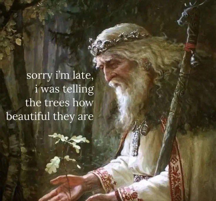sorry late, i was telling the trees how beautiful they are 3