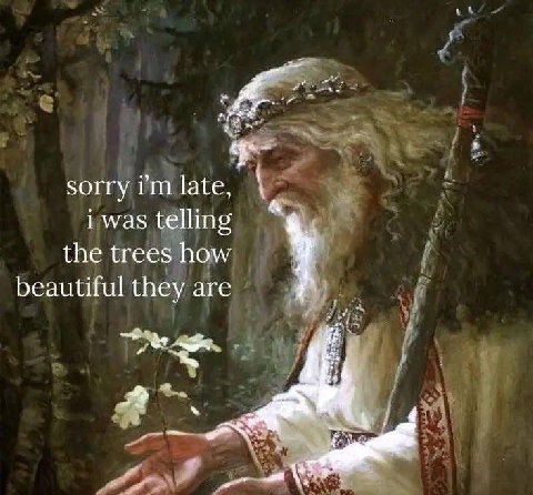sorry late, i was telling the trees how beautiful they are 3