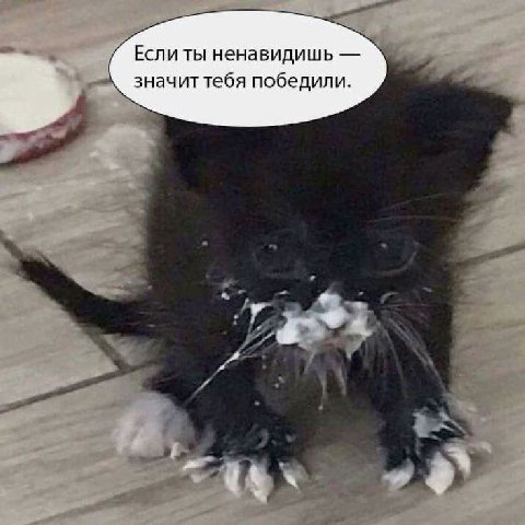 Если ты ненавидишь значит тебя победили.