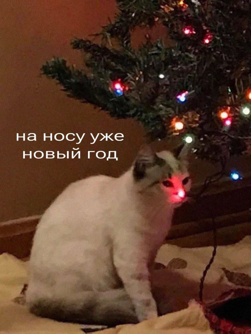 на носу уже новый год