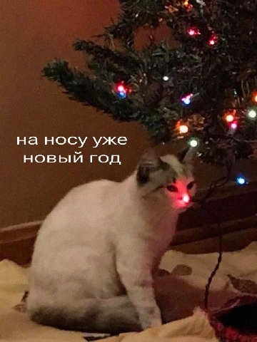 на носу уже новый год
