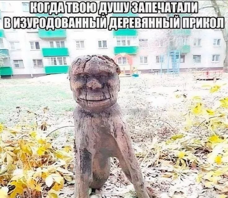 ДУШУ ЗАПЕЧАТАЛИ) РЕВЯННЫЙ ПРИКОЛ 44 4 hat a