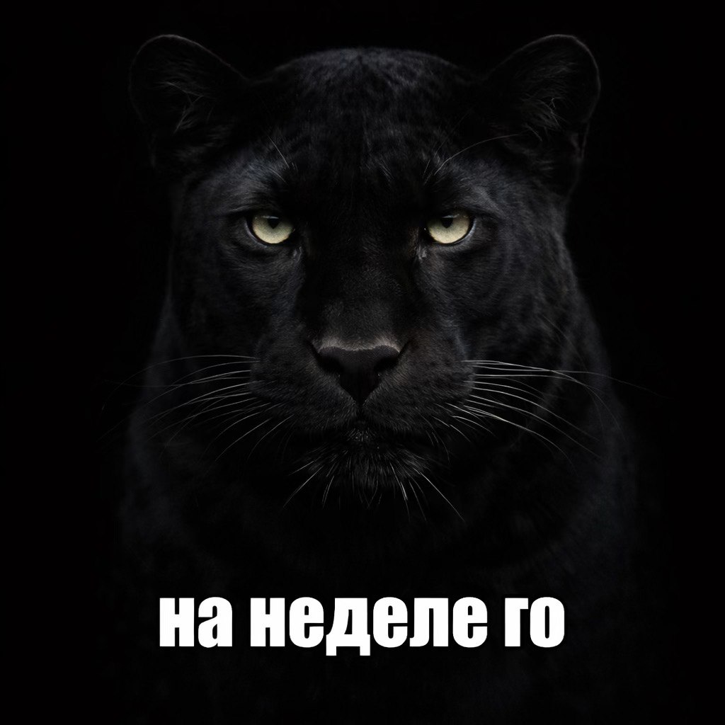 неделе