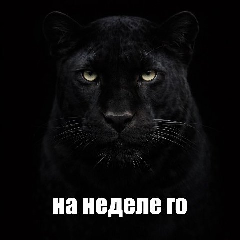 неделе