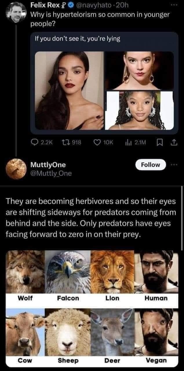 Felix Rex Why is hypertelarism so common in younger peaple? If you don’t see it, you're lying MuttlyOne Роном They are becoming herbivores and so their eyes are shifting sideways for predators coming 