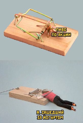 и ПИВО ПО