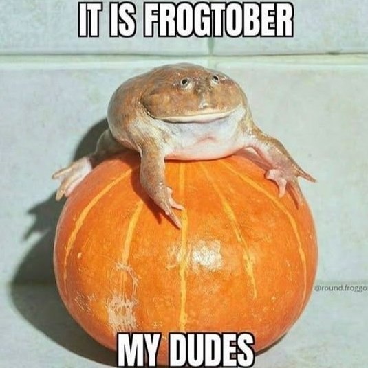 FROGTOBE So i MY DUDES