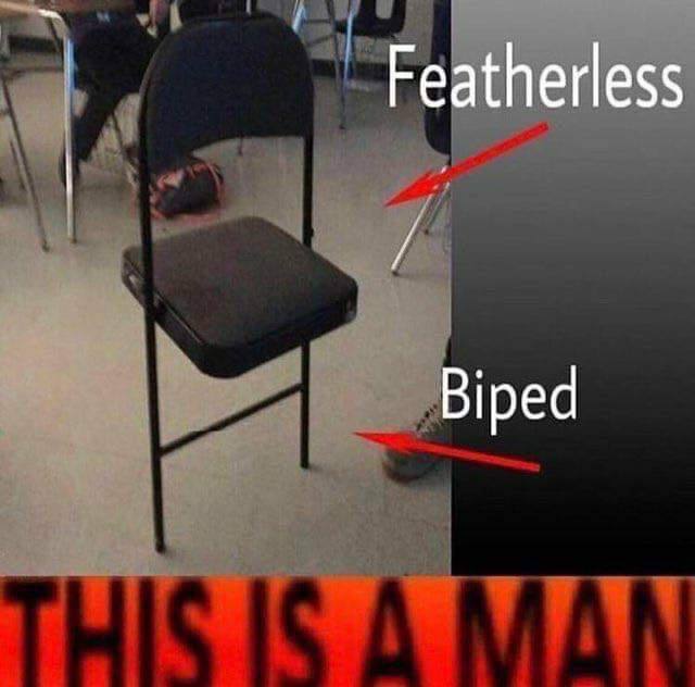 Featherless Biped
