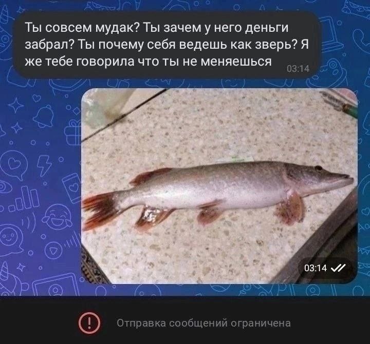 Ты совсем мудак? Ты зачем у него деньги забрал? Ты почему себя ведешь как зверь? Я же тебе говорила что ты не меняешься 2 4 03:14 Отправка сообщений ограничена