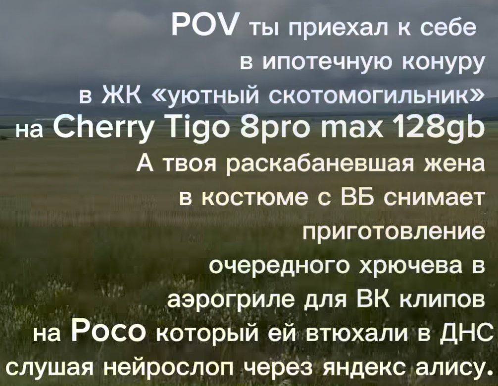 POV ты приехал к себе в ипотечную конуру в «уютный скотомогильник» на Cherry Tigo 8рго тах А твоя раскабаневшая жена в костюме с снимает приготовление очередного хрючева в аэрогриле для клипов на POCO