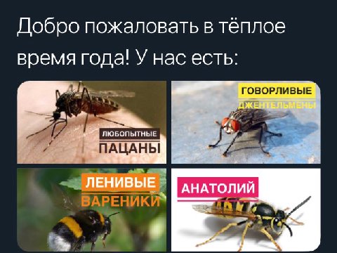 про анатомий не смешно