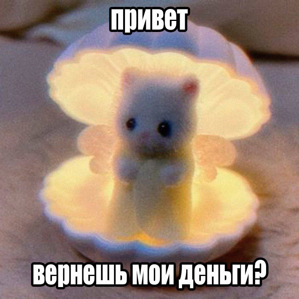 привет a вернешь мои деньги?
