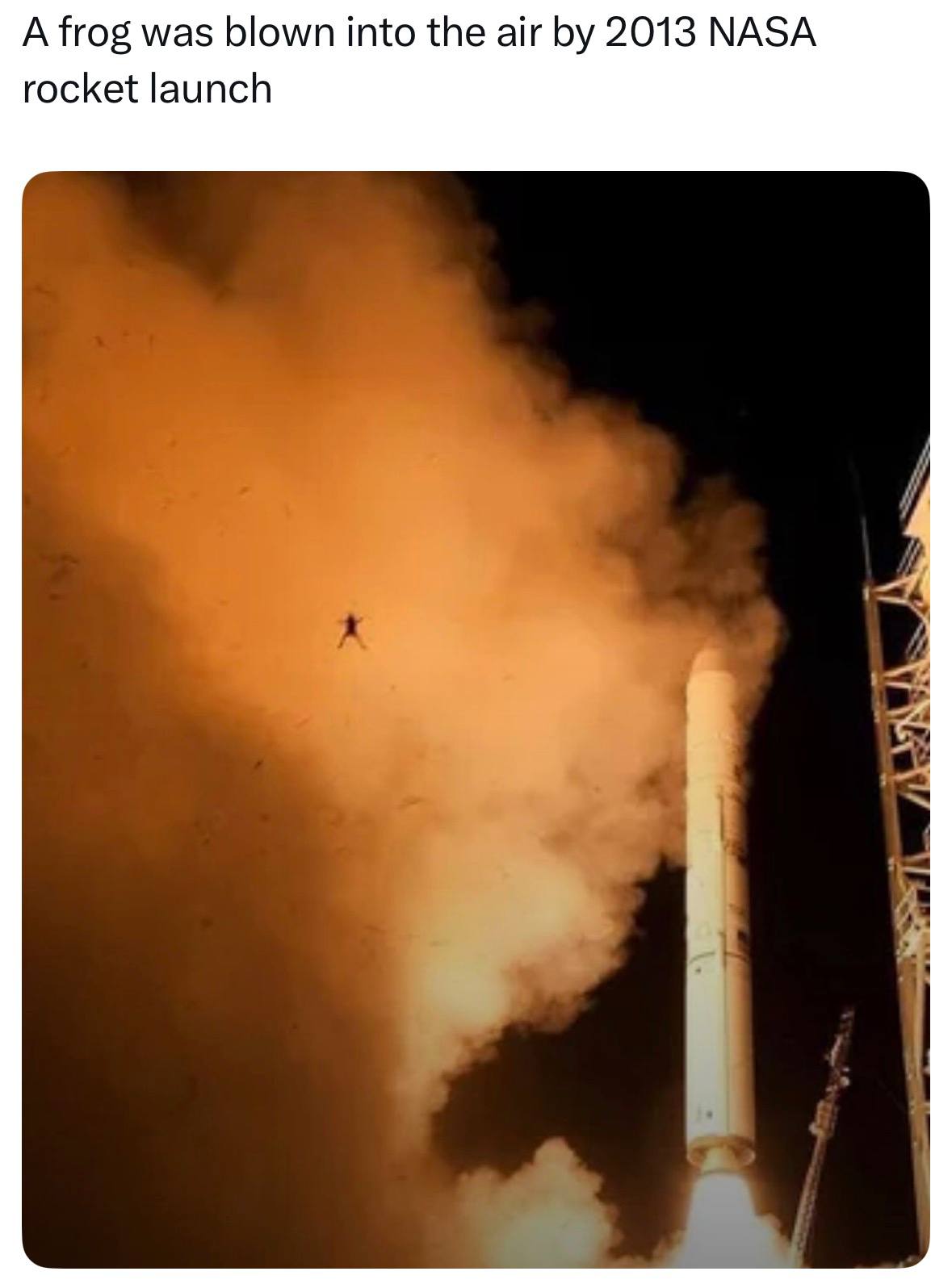 A frog was blown into the air 2013 NASA rocket launch