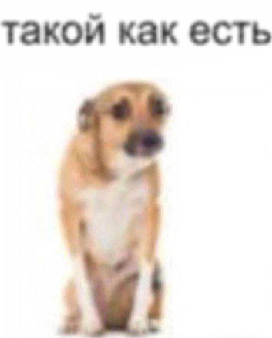 такой как есть