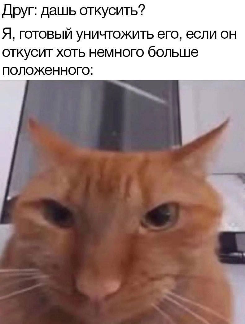 Друг: дашь откусить? Я, готовый уничтожить его, если он откусит хоть немного больше положенного: