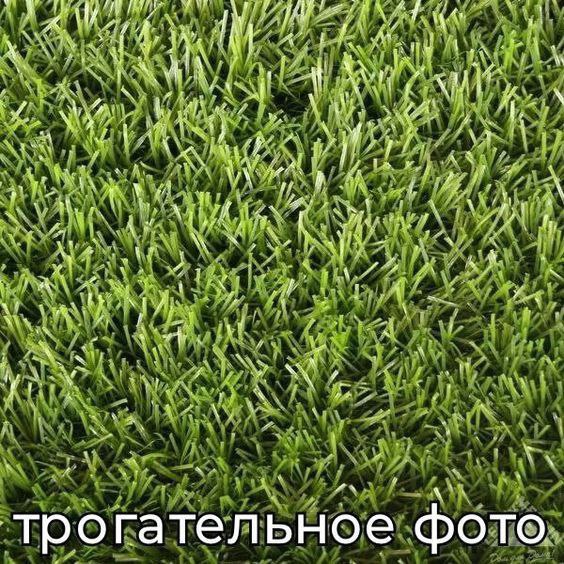 As if 4 `1 1... for 4 aN трогател ьное фото