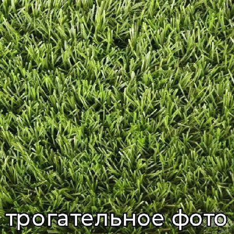 As if 4 `1 1... for 4 aN трогател ьное фото