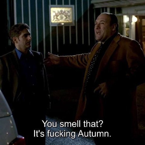 You smell that? fucking Autumn.