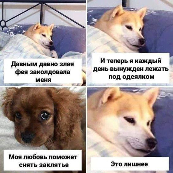 (С a Давным давно злая И теперь я каждый фея заколдовала вынужден лежать меня под одеялком 2 Моя любовь поможет снять заклятье Это лишнее