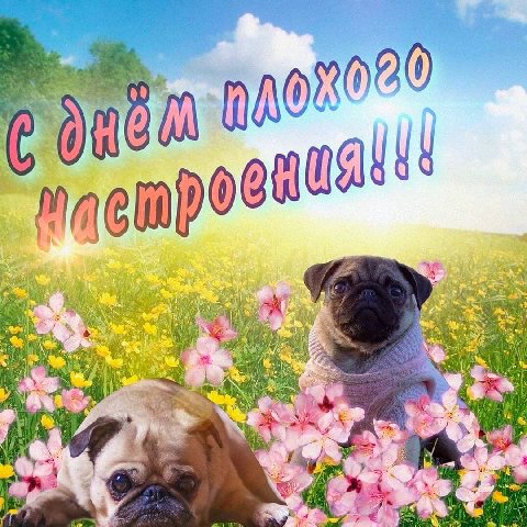 080 А\ 0 (4 6 и a 4