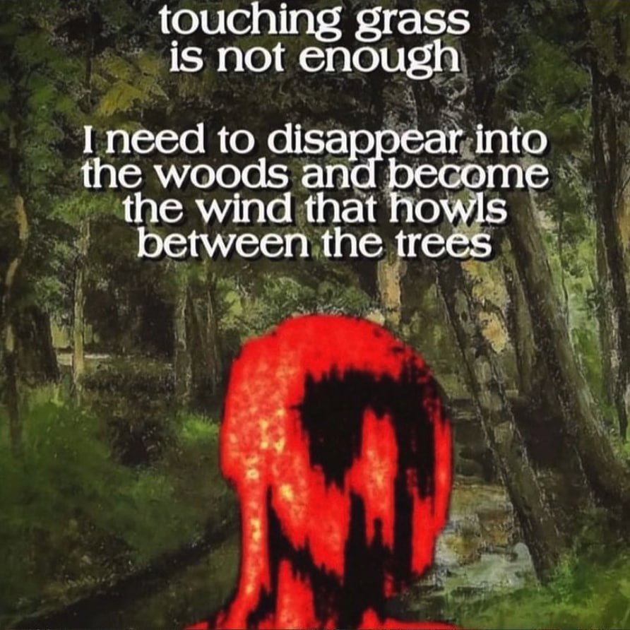 touching grass is not enough I need to disappear into the woods an become the wind that howls between the trees