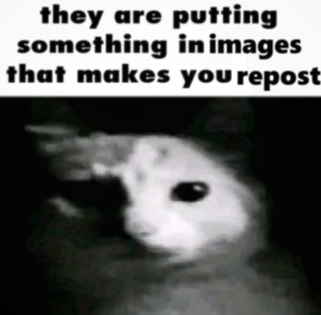 they are putting something inimages that makes you repost
