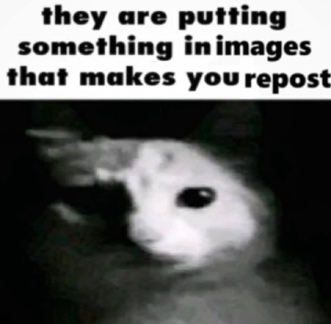 they are putting something inimages that makes you repost