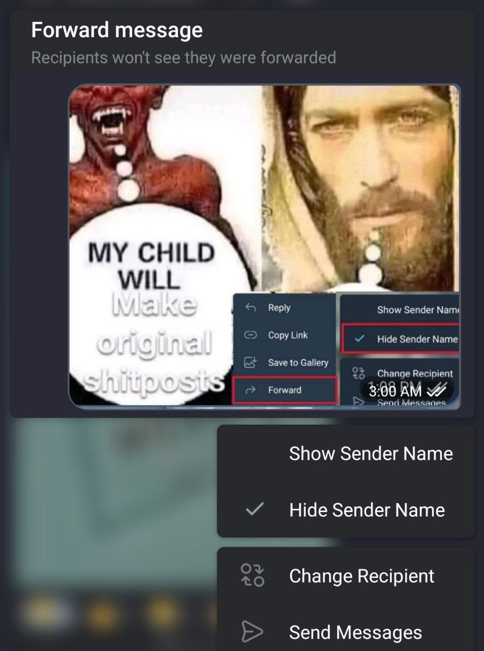 Forward message MY CHILD WILL Reply Show Sender Copy Link Hide Sender Name Save to Gallery Recinient Forward 3:00 Show Sender Мате Hide Sender Name Change Recipient Send Messages