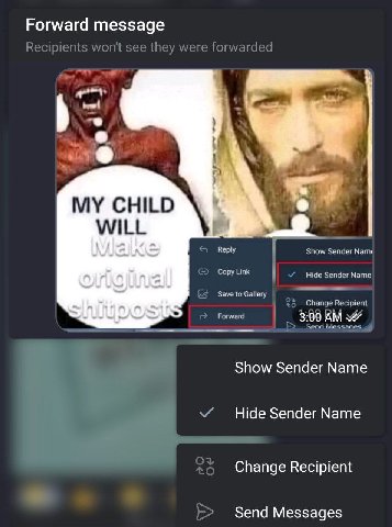 Forward message MY CHILD WILL Reply Show Sender Copy Link Hide Sender Name Save to Gallery Recinient Forward 3:00 Show Sender Мате Hide Sender Name Change Recipient Send Messages