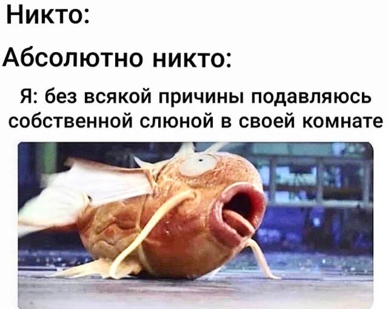 Никто: Абсолютно никто: Я: без всякой причины подавляюсь собственной слюной в своей комнате 4