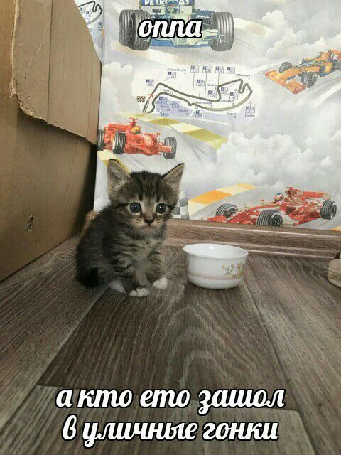 я 4 акто ето зашол 6 уличные гонки