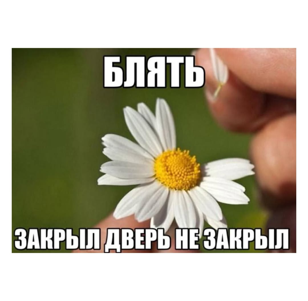 БЛЯТЬ HE ЗАКРЫЛ