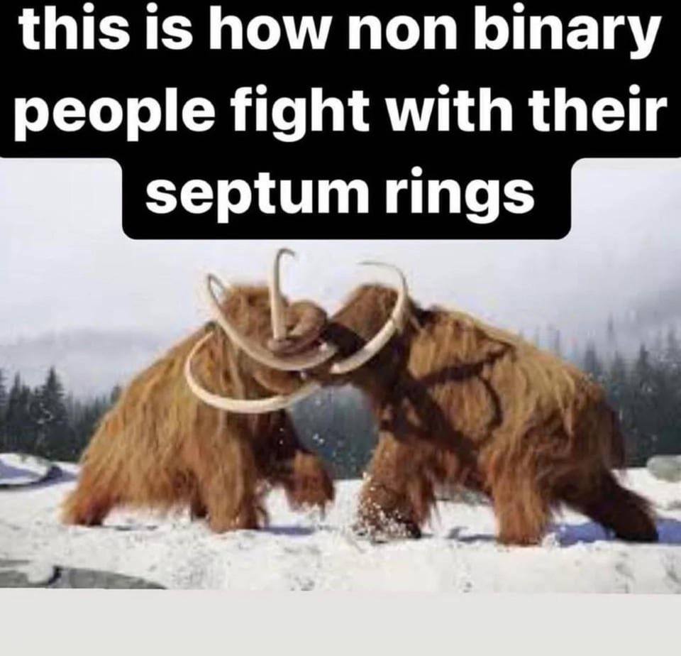 this is how non binary people fight with their septum rings