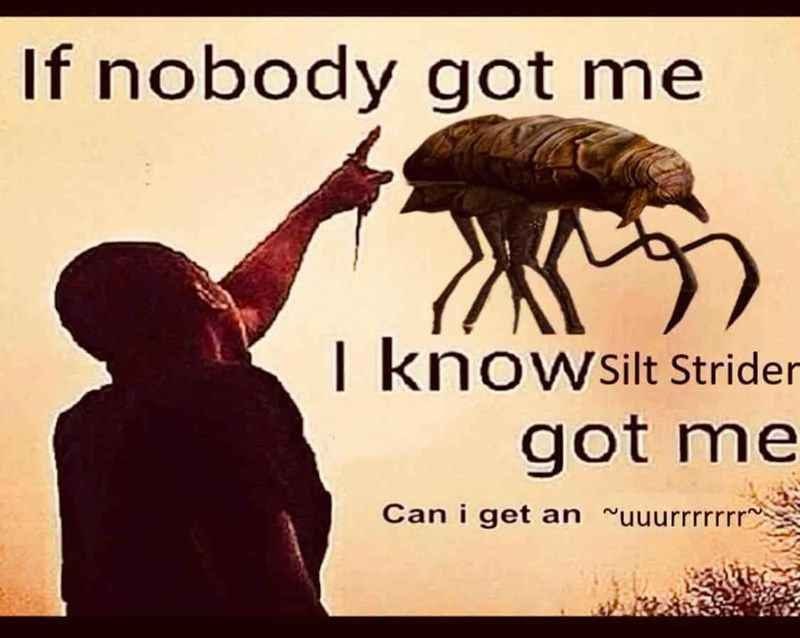 nobody got me KNOWSilt Strider Сап