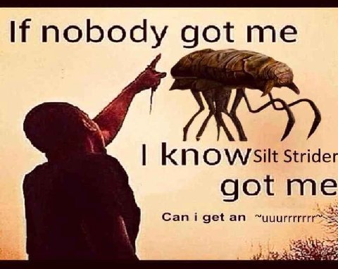 nobody got me KNOWSilt Strider Сап