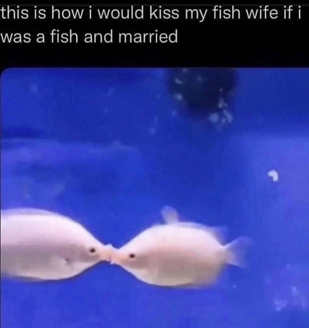 this is how i would kiss my fish wife if was and married