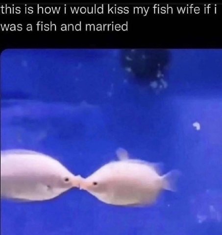 this is how i would kiss my fish wife if was and married